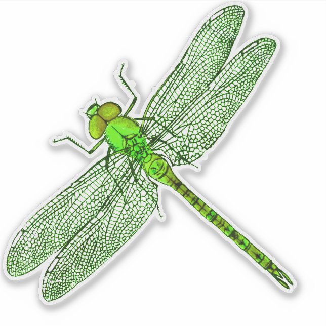 Green Dragonfly Contour (Front)