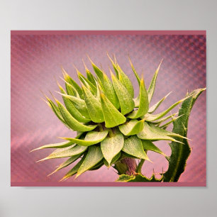 Green dream poster
