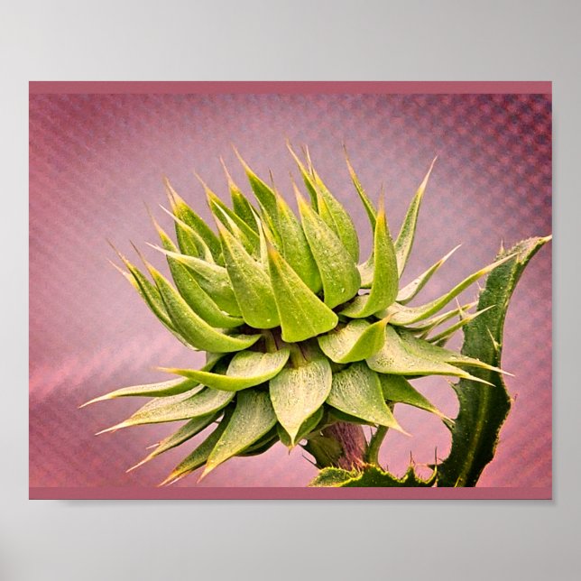 Green dream poster (Front)