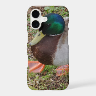 Green Duck Apple iPhone X, Barely TherePhoneCase
