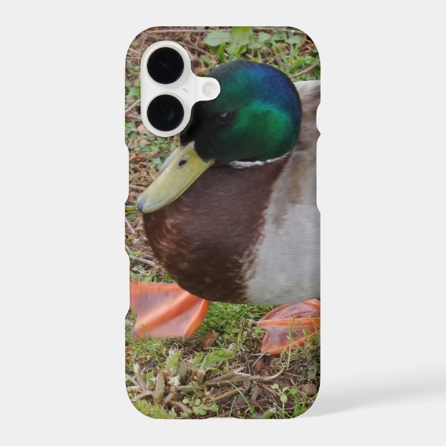 Green Duck Apple iPhone X, Barely TherePhoneCase (Back)