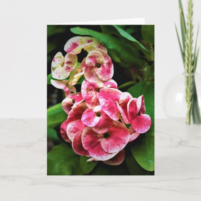 Green Earth, card (Front)