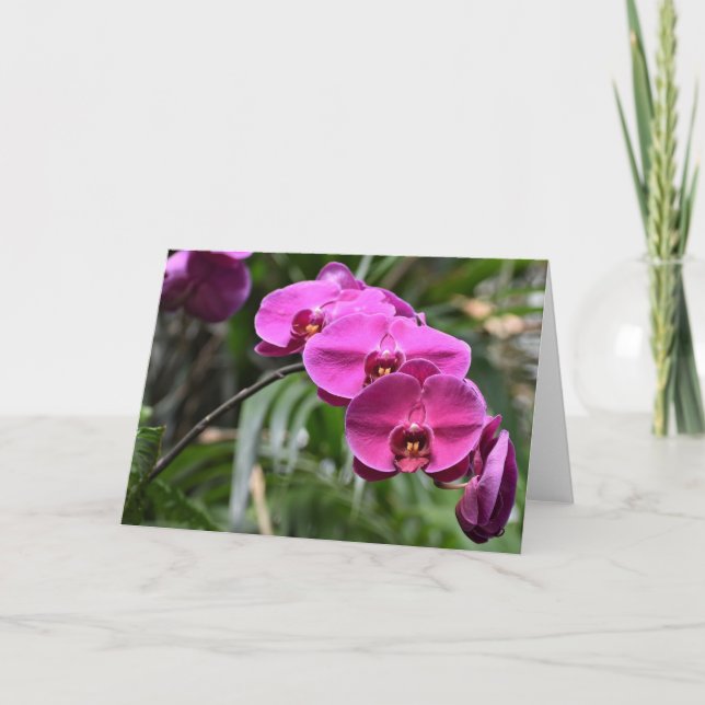 Green Earth, card (Front)