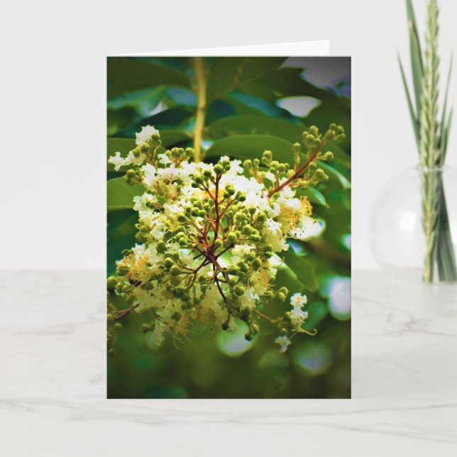 Green Earth, card (Front)