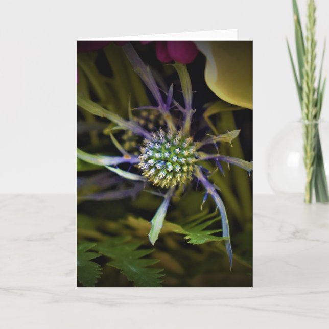 Green Earth, card (Front)