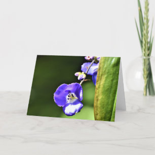 Green Earth, card