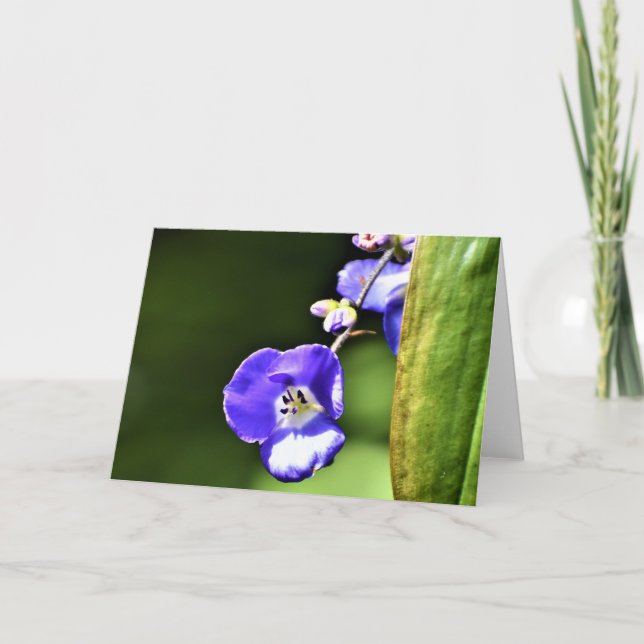 Green Earth, card (Front)