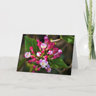 Green Earth, card