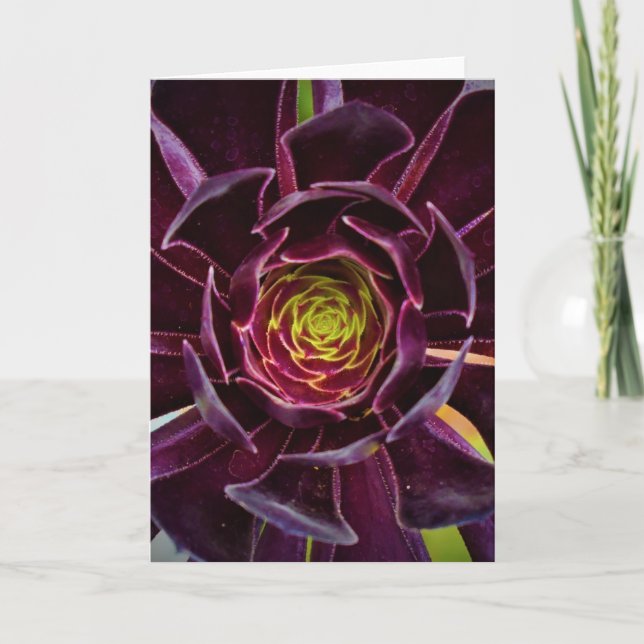 Green Earth, card (Front)