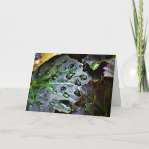 Green Earth, card
