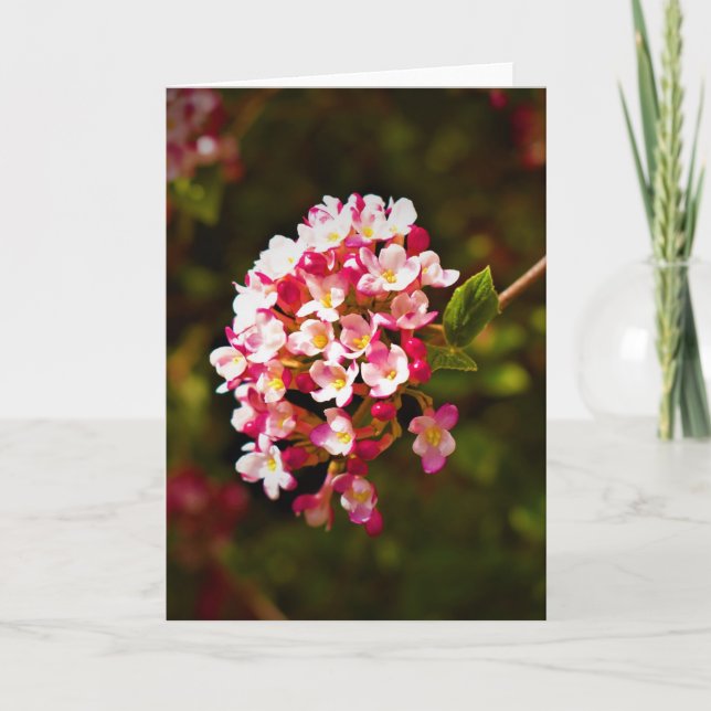 Green Earth, card (Front)