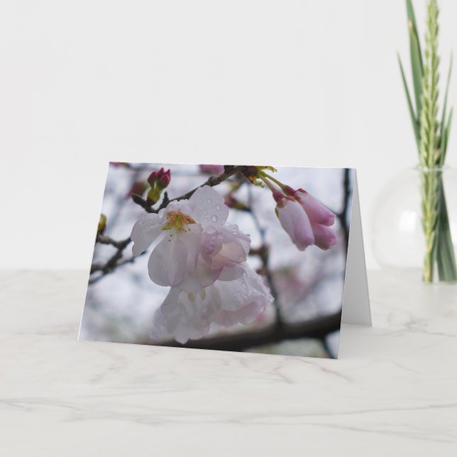 Green Earth Card (Front)