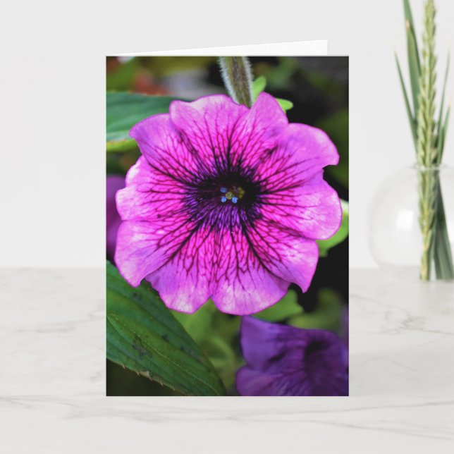 Green Earth, card (Front)