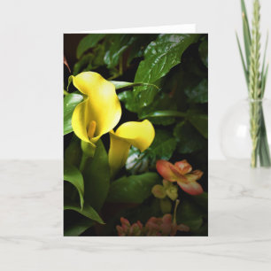Green Earth, card