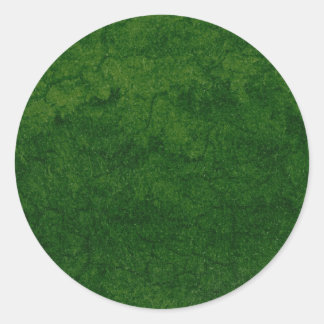 Green Earth Classic Round Sticker