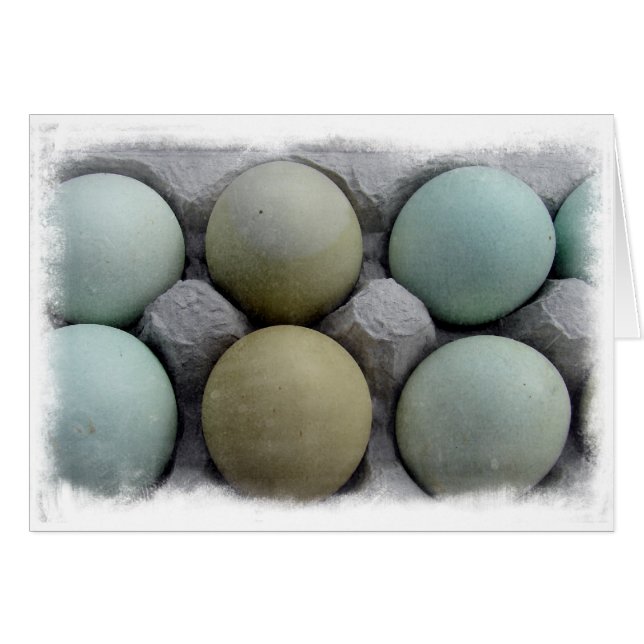 Green Eggs (Front Horizontal)