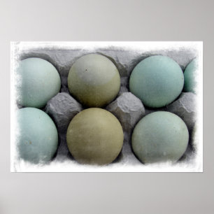 Green Eggs Poster
