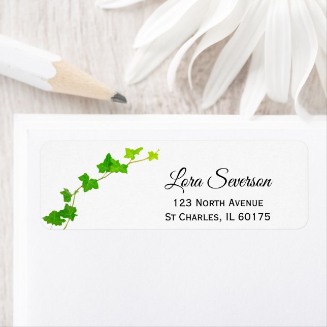 Green English Ivy Vine Retourner l'adresse Étiquet (En situation)