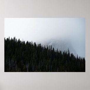 GREEN EVERGREEN TREES UNDER A CLOUDY SKY POSTER
