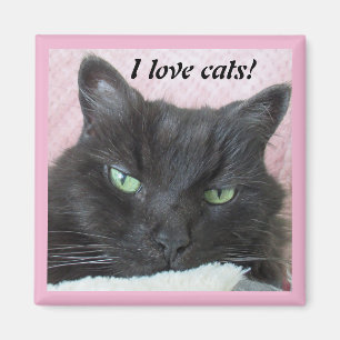Green Eyed Black Cat On Pink Blanket Magnet