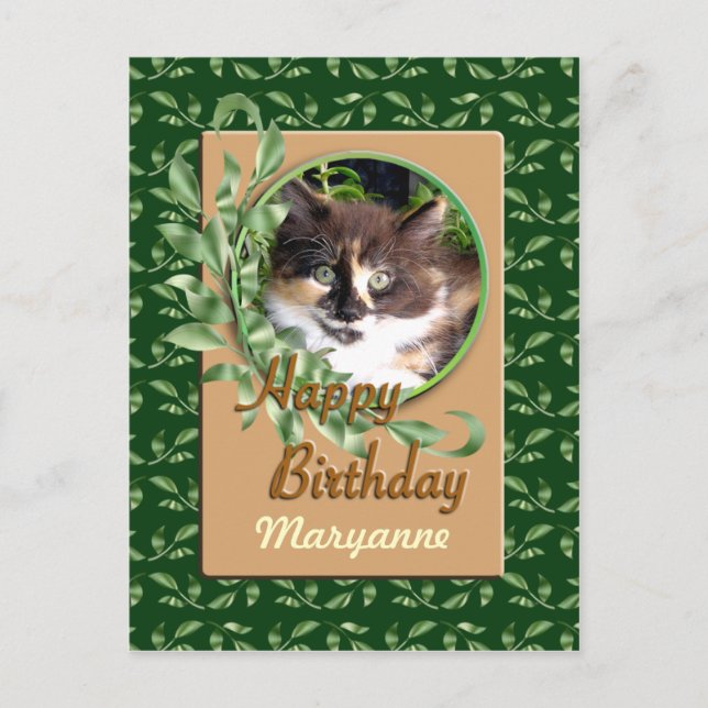 Green Eyed Calico Kitten Happy Birthday Postcard (Front)
