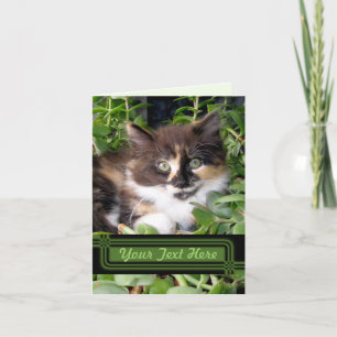 Green Eyed Cat Note Card