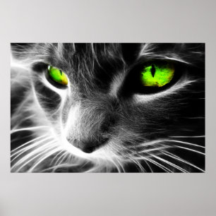 Green Eyed Cat Up Close Print