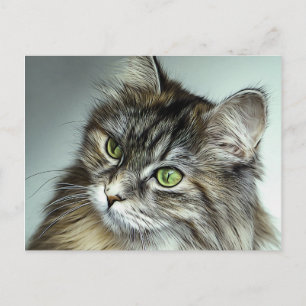 Green Eyed Fluffy Cat Oil Painting Postcard