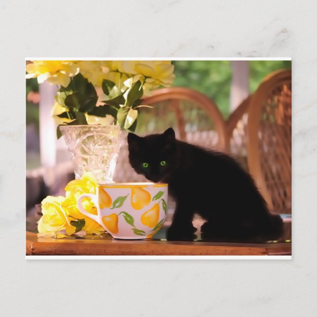 Green Eyed Kitten Stilllife Postcard (Front)
