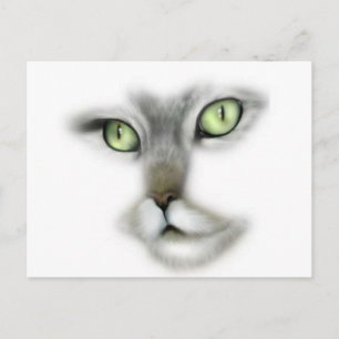 Green Eyed Kitty Postcard