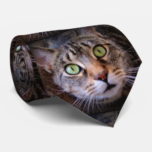 Green Eyed Tabby Cat Menswear Tie
