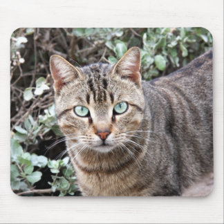 Green eyed Tabby Cat mousepad