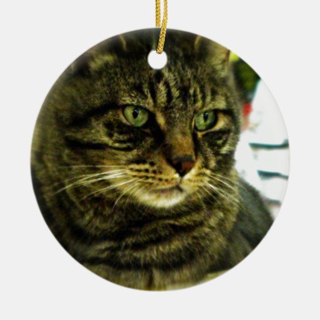 Green Eyed Tabby Face Ceramic Ornament (Front)