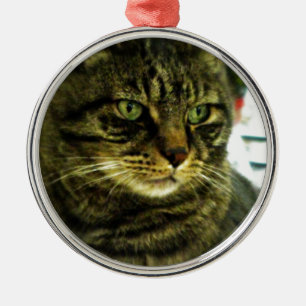 Green Eyed Tabby Face Metal Ornament
