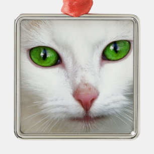 Green Eyed White Cat Metal Ornament