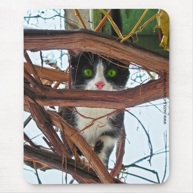 Green Eyes Mouse Pad (Front)