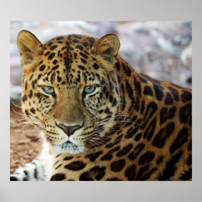 Green Eyes! Poster (Front)