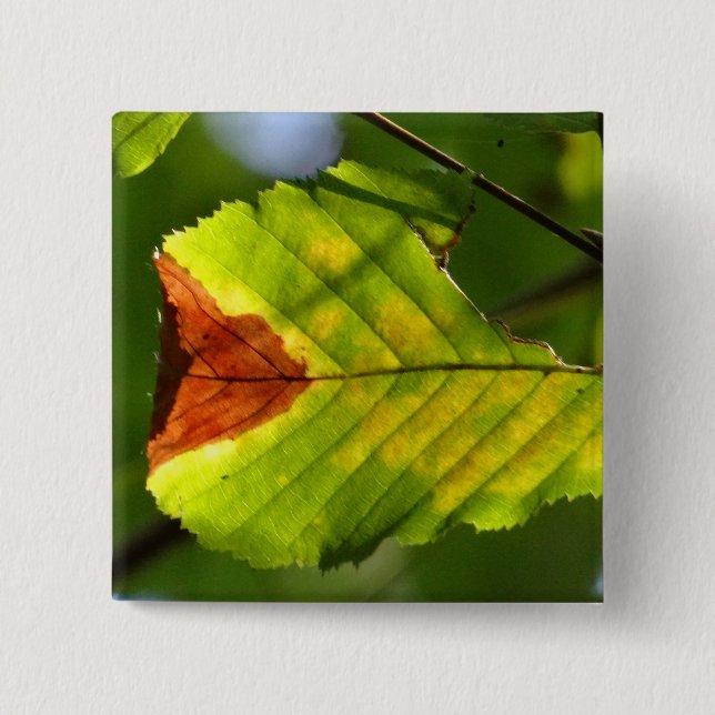Green Fall Leaf 2 Inch Square Button (Front)