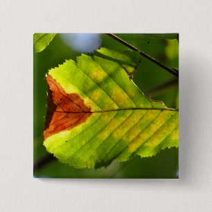 Green Fall Leaf 2 Inch Square Button