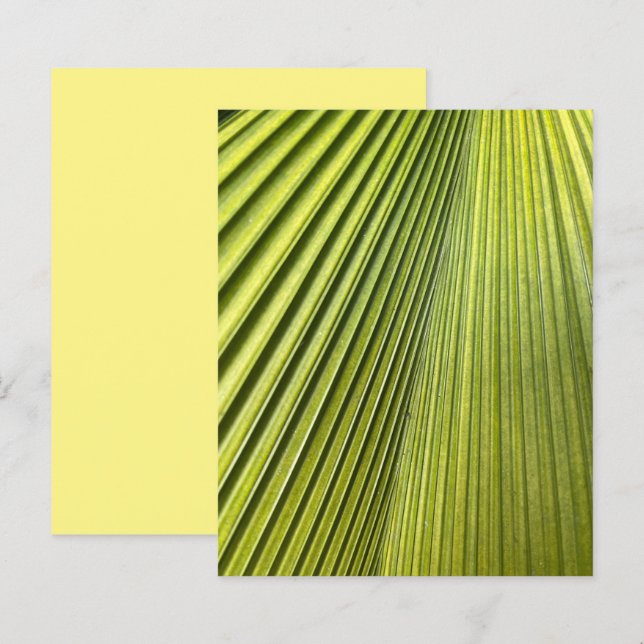 Green Fan Palm Frond Scrapbook Paper (Front/Back)