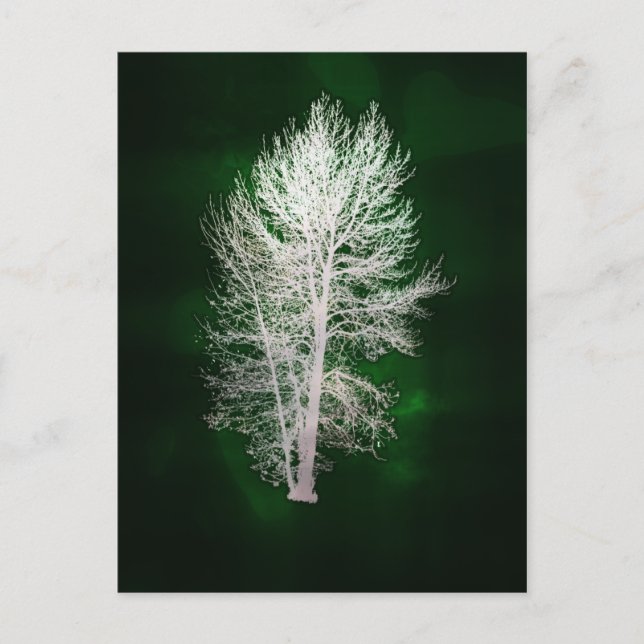 Green faux-metallic tree postcard (Front)