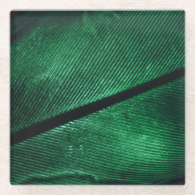 Green Feather, Beautiful Pattern Texture. Glass Coaster (Front)