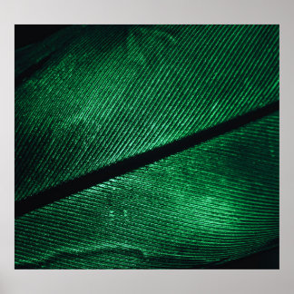 Green Feather, Beautiful Pattern Texture. Poster
