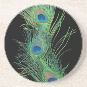 Green Feather with Black Feather Coaster