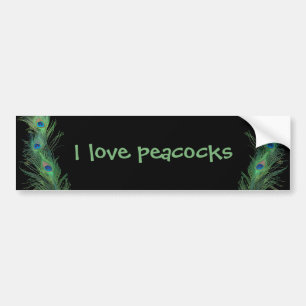Green Feathers with Black Bumper Sticker
