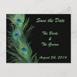 Green Feathers with Black Save the Date Announcement Postcard