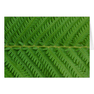Green Fern