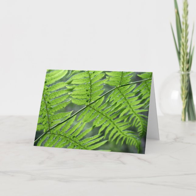Green Fern Card (Front)