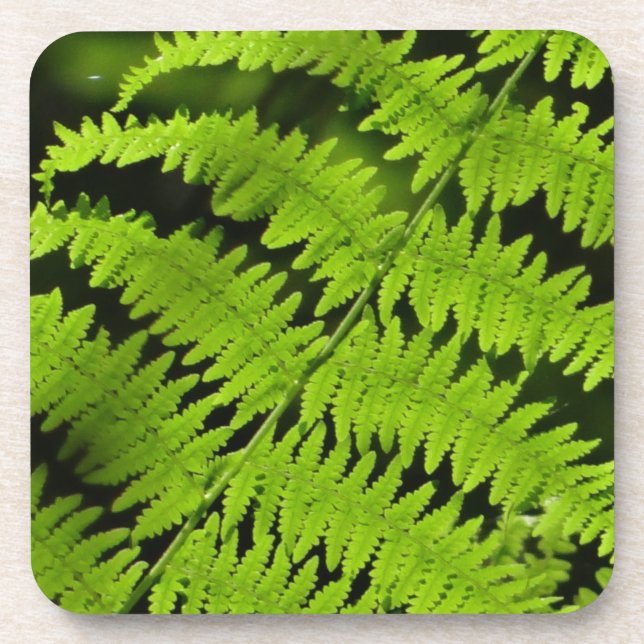 Green fern coaster (Front)