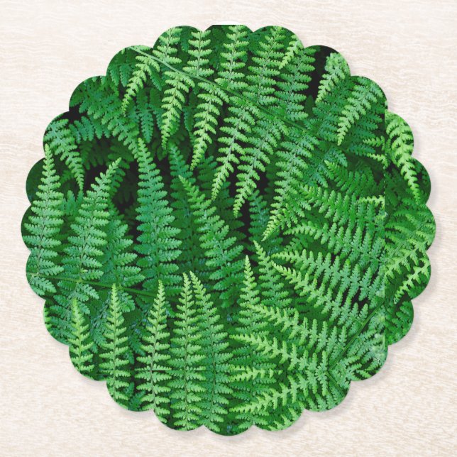 Green Fern Coasters (Front)